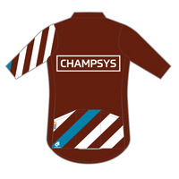 Apexライトジャージ / STRIPE BROWN