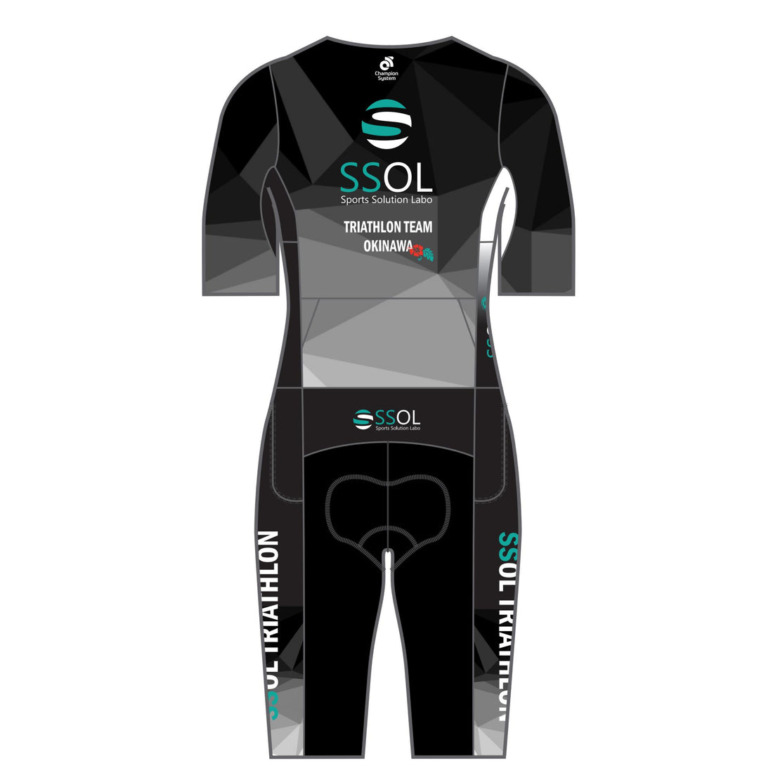 APEX+ Zero Aero Long Sleeve Tri Suit